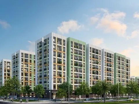 Vingroup phát triển 4.500 căn nhà ở cho thuê tại Thành phố Hồ Chí Minh
