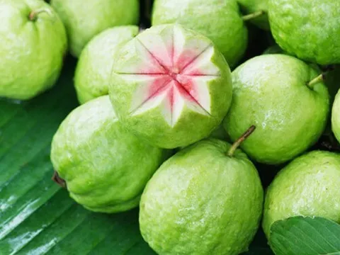 Lợi ích của quả ổi với sức khỏe