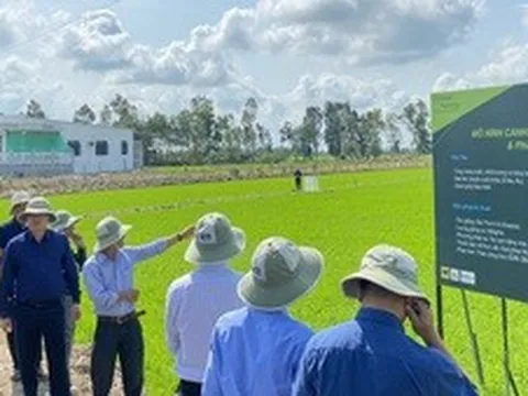 Xây dựng tiêu chuẩn quốc gia cho rau an toàn
