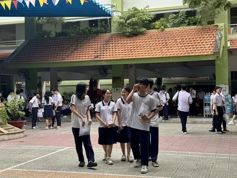 Đầu năm tìm trường