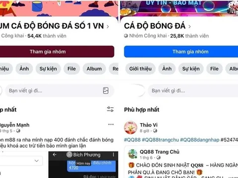 Các chiêu trò cá độ và lừa đảo trực tuyến mùa World Cup 2026