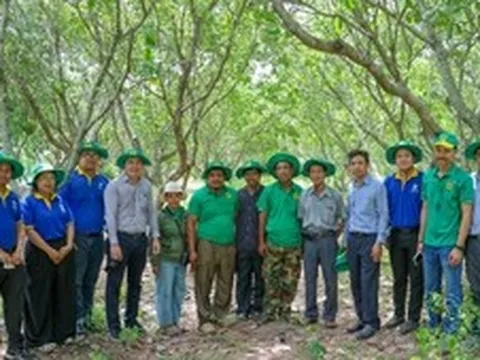 Bình Điền đưa giải pháp dinh dưỡng khoa học đến vùng điều Campuchia