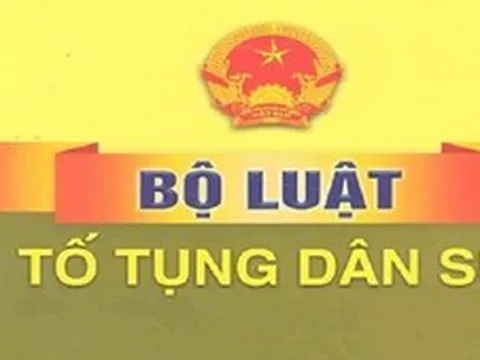 Đánh giá toàn diện kết quả thi hành Bộ luật Tố tụng dân sự