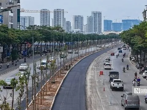 Hà Nội: Cận cảnh hàng cây xanh vừa trồng đã sắp bị thay trên đường Võ Chí Công