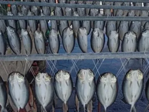 Đang đi dạo, người dân phát hiện cảnh tượng "nổi da gà", nhiều người kéo đến xem tận mắt