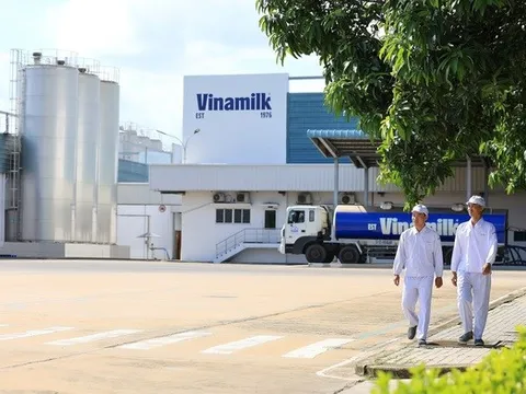 Vinamilk: 3 năm liên tiếp là doanh nghiệp sữa duy nhất của Việt Nam trong Fortune 500 Đông Nam Á