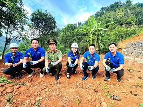 Sắc xanh bên lòng hồ thượng nguồn - “Gieo mầm hôm nay, kiến tạo tương lai”