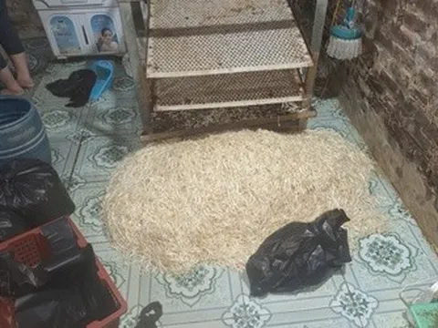 Hưng Yên: Khởi tố đối tượng sử dụng chất cấm sản xuất gần 800kg giá đỗ tuồn ra thị trường
