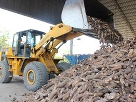 Xăng E10: Cơ hội "đánh thức" vùng nguyên liệu tỷ đô