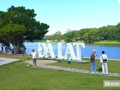 Cận cảnh những điểm đến ở Đà Lạt hút khách giữa mùa cao điểm du lịch