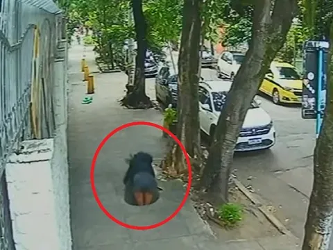 Đang đi bộ, người phụ nữ bất ngờ bị "nuốt chửng" giữa đường