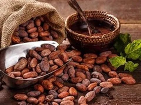 THỊ TRƯỜNG HÀNG HÓA: Giá ca cao tăng vọt hơn 9% bất chấp áp lực điều chỉnh trên nhiều mặt hàng