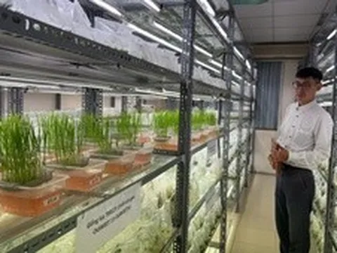 Nông nghiệp nâng giá trị sử dụng đất, hướng tới xuất khẩu 74 tỷ USD