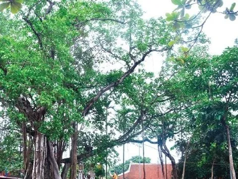 Hà Nội có thêm 12 di tích được xếp hạng cấp thành phố