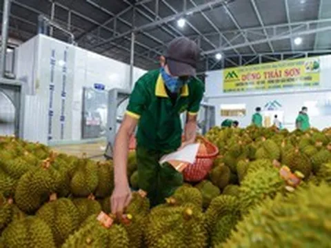 Đưa thương mại nông sản Việt Nam - Trung Quốc lên tầm cao mới
