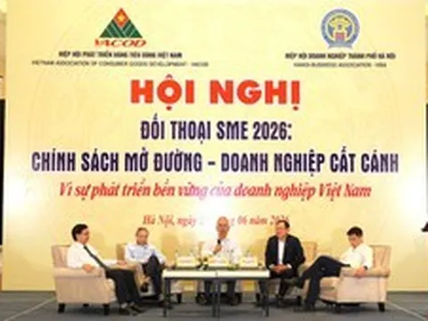 Chính sách mở đường, doanh nghiệp nhỏ tìm cơ hội cất cánh