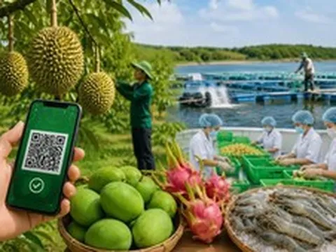 Chế biến sâu và chuyển đổi số: Động lực tăng trưởng mới trong thương mại nông sản Việt Nam - Trung Quốc
