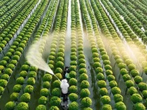 Xây dựng dự án sửa đổi 10 luật về thủ tục hành chính lĩnh vực nông nghiệp, môi trường theo thủ tục rút gọn