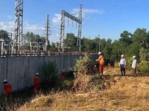 Thanh Hóa cấp điện trở lại cho gần 30.000 khách hàng bị ảnh hưởng tại khu vực cháy rừng