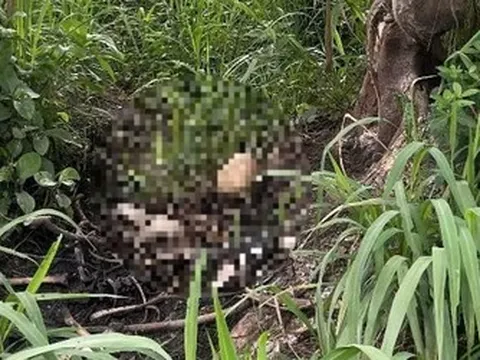 Vụ bộ xương trong bụi rậm và bí ẩn nam MC mất tích: Chờ lời giải từ giám định ADN