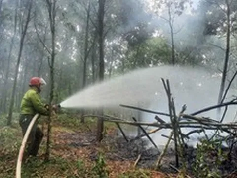 Quyết liệt triển khai các biện pháp cấp bách về
phòng cháy, chữa cháy rừng