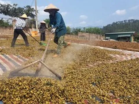 Quảng Ninh: Giữ vững đà tăng trưởng ngành nông nghiệp