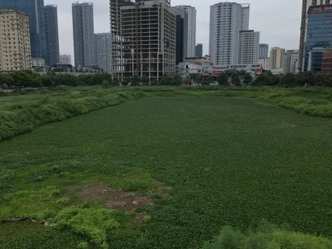 Hơn thập kỷ bỏ hoang, cỏ dại phủ kín công viên điều hòa khu đô thị Tây Nam Hà Nội