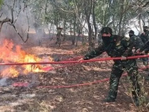 Hàng trăm cán bộ, chiến sĩ chữa cháy rừng phòng hộ ở Quảng Trị