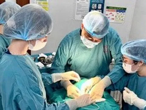 Nhiều kỳ vọng mới cho người bệnh từ những cập nhật tiến bộ điều trị ung thư