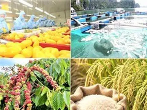 Xuất khẩu nông, lâm, thủy sản tăng hơn 10% so với cùng kỳ