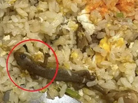 Đang ăn cơm rang, cô gái sốc khi thấy thứ "đáng sợ" trong đĩa