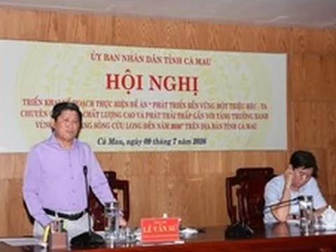 Từ 1.380 ha đến mục tiêu 54.680 ha: Cà Mau tìm lời giải mở rộng diện tích lúa chất lượng cao