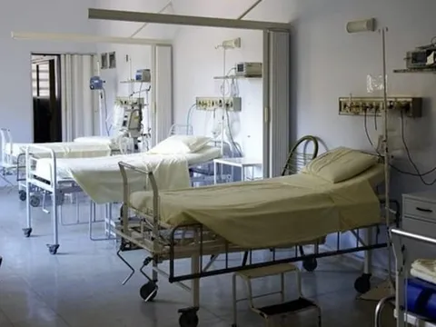 Đang ngủ trong ký túc xá, 4 học sinh bị rắn độc cắn