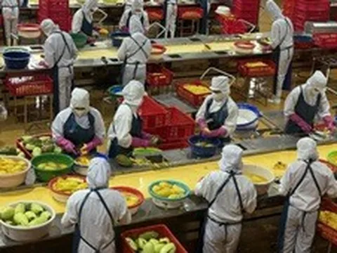 Nỗ lực cán mốc xuất khẩu 100 tỷ USD của ngành nông nghiệp