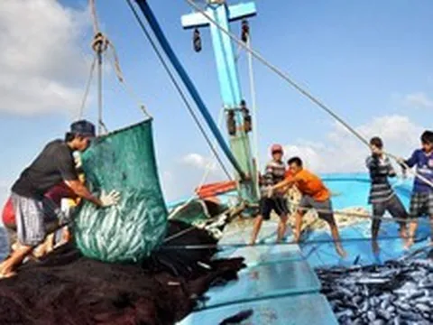 Ngành Thủy sản cần bứt phá để chinh phục mục tiêu xuất khẩu