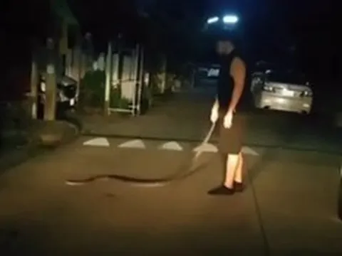 Say rượu, người đàn ông dùng tay không bắt con trăn về nhà