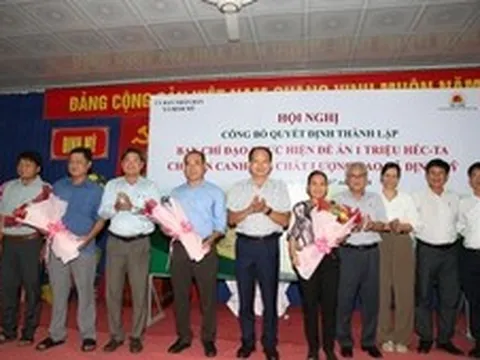 Đề án 1 triệu ha lúa: Khi chính quyền cấp xã trở thành 'nhạc trưởng' trên cánh đồng
