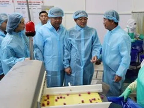 Xây dựng chuỗi liên kết bền vững, nâng cao giá trị nông sản và thủy sản Việt Nam