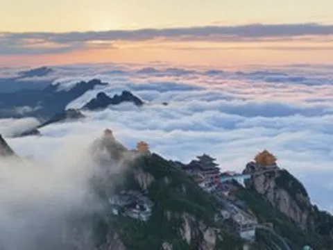 Tuyển "người săn mây", trả mức lương gây bất ngờ