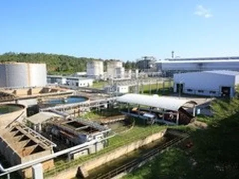 Xây dựng hệ sinh thái Ethanol để phát triển bền vững xăng E10