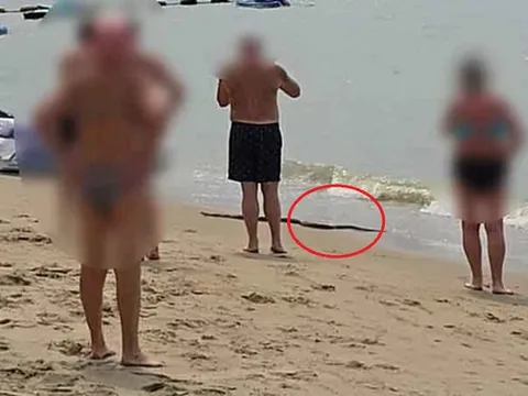 Đang đi dạo biển, người dân bỗng thấy cảnh tượng "đáng sợ" giữa ban ngày