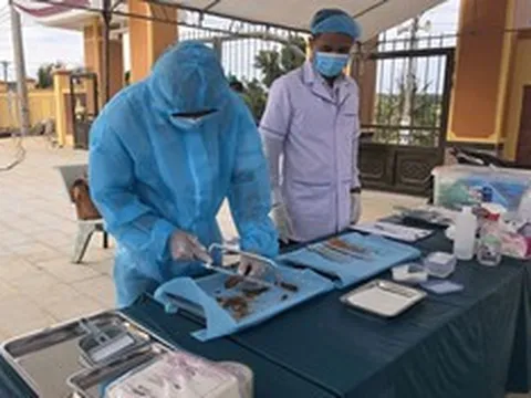 Gia Lai quyết tâm hoàn thành sớm chỉ tiêu Chiến dịch 500 ngày đêm
