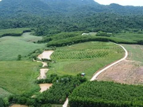 Gần 20 năm lập làng, hàng trăm "thanh niên" U50 vẫn mỏi mòn chờ sổ đỏ