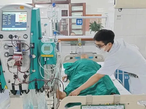 Người đàn ông 68 tuổi suýt mất mạng vì ăn mật cá trắm
