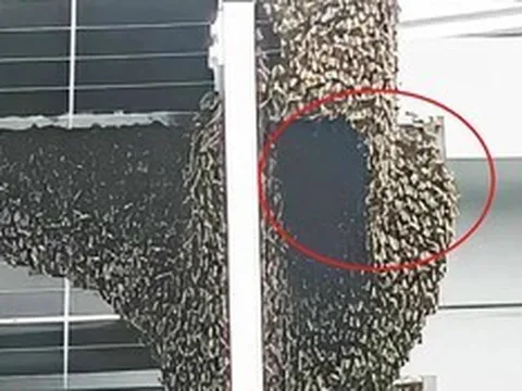 Nhìn ra cửa sổ, người đàn ông sốc nặng khi chứng kiến cảnh tượng "nổi da gà"