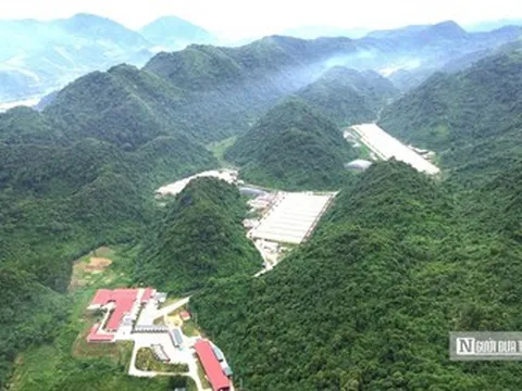 Tổng kiểm tra các cơ sở chăn nuôi sau vụ 5 công nhân tử vong ở trang trại lợn