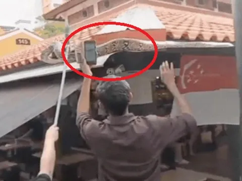 Đang uống cà phê, người dân phát hiện cảnh tượng "nổi da gà" trên mái nhà