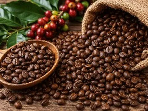 THỊ TRƯỜNG HÀNG HÓA: Tồn kho Arabica rơi xuống sát đáy lịch sử, giá cà phê đi lên