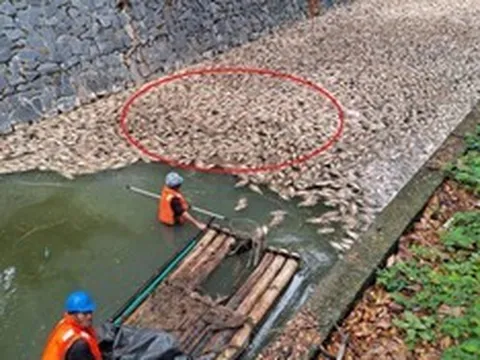 Người dân bàng hoàng khi chứng kiến cảnh tượng "nổi da gà" trên kênh