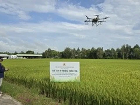 Bài 2: Khi cả cánh đồng cùng thay đổi